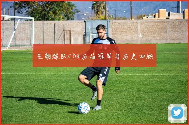 王朝球队cba历届冠军与历史回顾