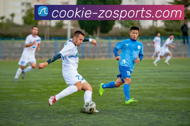 中欧体育发展历程